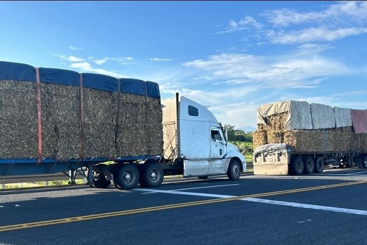 Dos tractocamiones con plataformas cargadas y cubiertas circulando por una carretera.